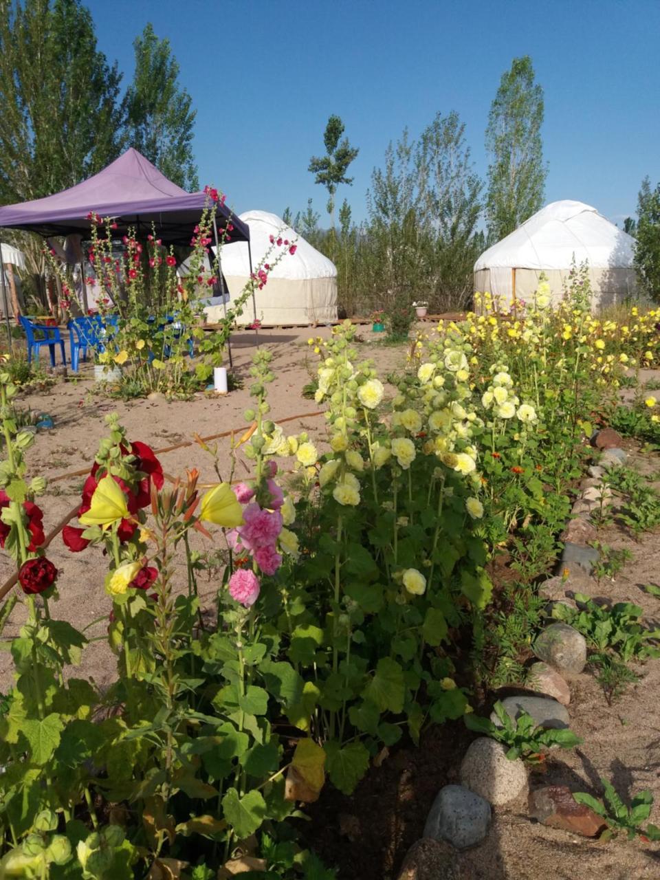 Hotel Yurt Camp Tosor Exterior foto